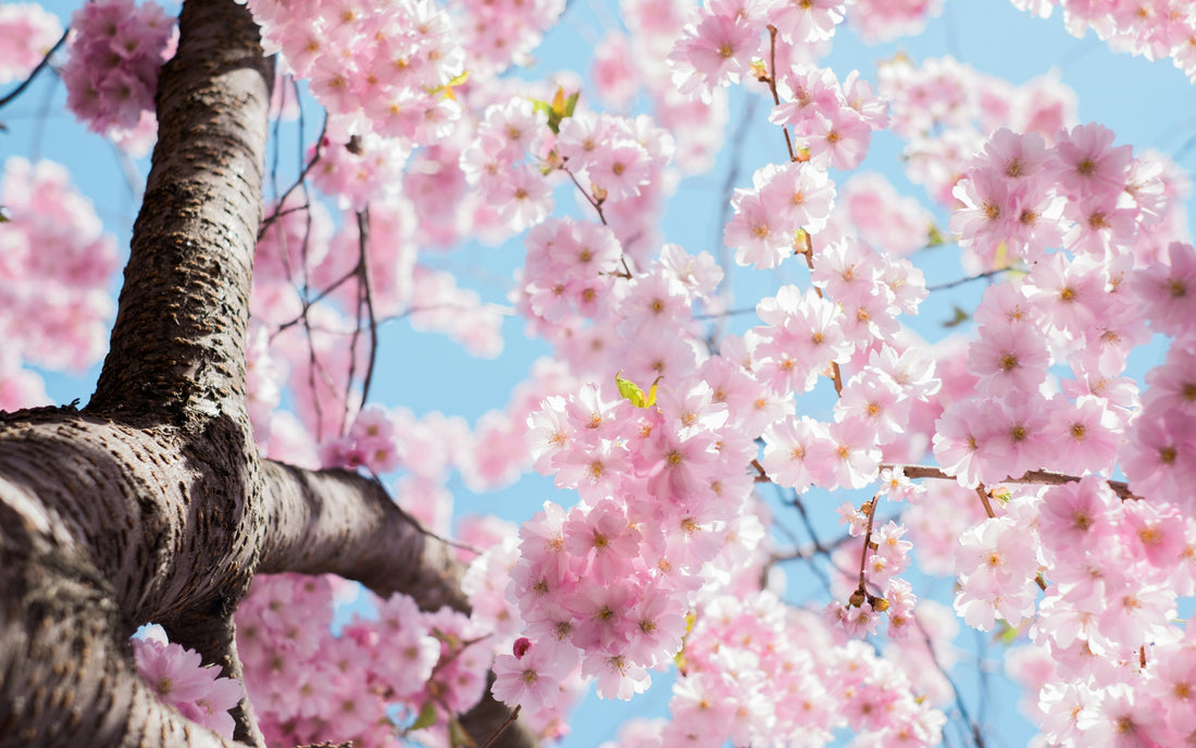 Spring, Hydration, Allergies and Electrolytes